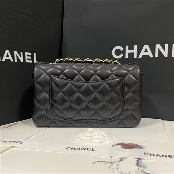 2026127205646544 380